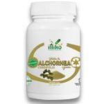 Alchornea / Alchornée (120 u) | 3Pack