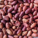 Cameroon Ground Nuts / Arachides du Cameroun (~5Kg)